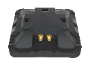 mANT-5o_1.webp
